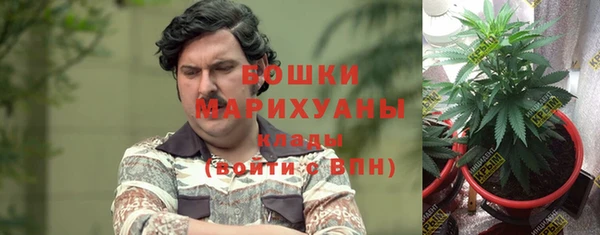 apvp Алзамай