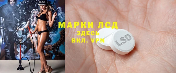 apvp Алзамай