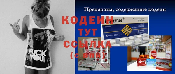 хмурый Алексин