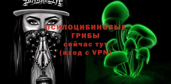 apvp Алзамай