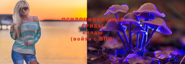 apvp Алзамай