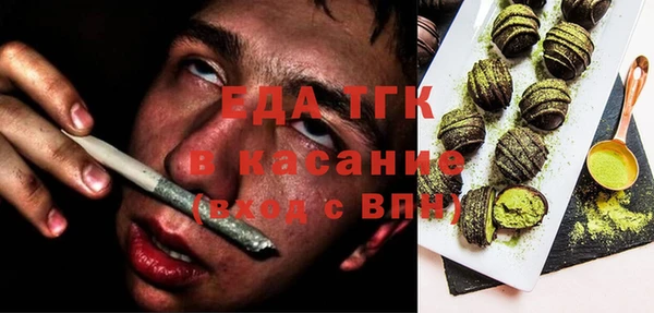 хмурый Алексин