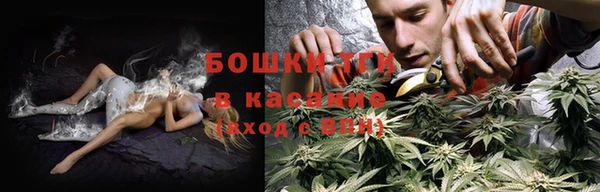 PSILOCYBIN Переславль-Залесский