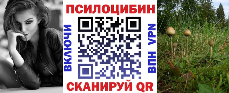 Псилоцибиновые грибы GOLDEN TEACHER  сколько стоит  shop формула  Макушино 